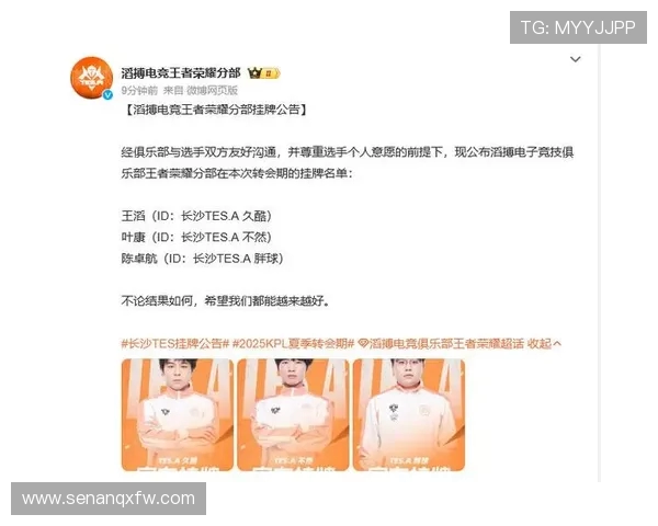 TES战队运营分析：从得失看王者荣耀职业赛场的策略与挑战