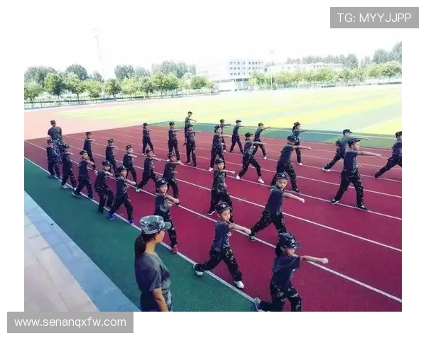 北京排球队的阵地战解析与战术分析探讨