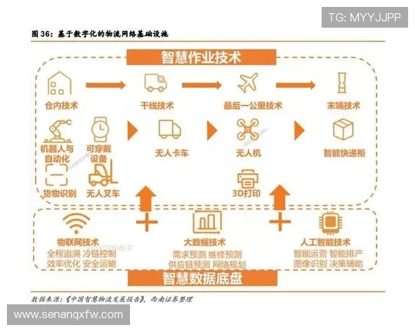 南京羽毛球队的节奏革新探索与实践全景解析 南京羽毛球队的节奏革新探索与实践全景解析