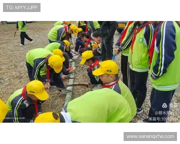 对话王磊：探索飞盘运动的魅力与挑战之旅