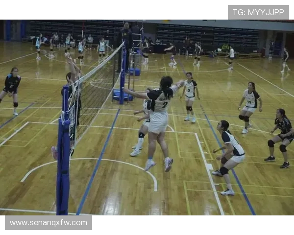 广州排球队的默契配合与战术探讨聚焦排球的团队精神与竞技魅力