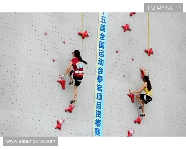 攀岩灵活性排行榜揭晓上海攀岩队荣获第七名佳绩