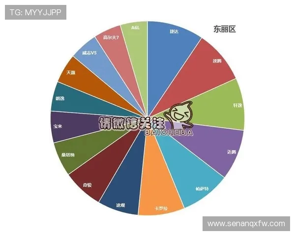 独家分析：西安排球队速度对比及其战术影响探讨