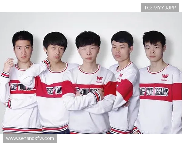 王者荣耀深度解析：揭秘WE战队的团队协作与默契配合秘诀