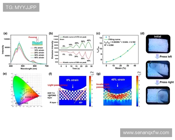 科学飞盘战术训练方法全面解析提升团队协作与竞技水平的有效策略