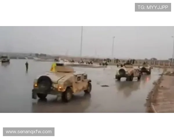 武汉排球队防反战术解析与热点动态全景观察