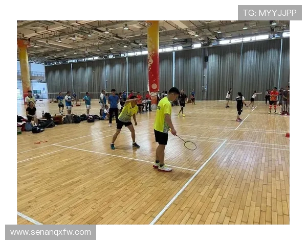 深圳羽毛球队个人能力分析与表现评估研究报告