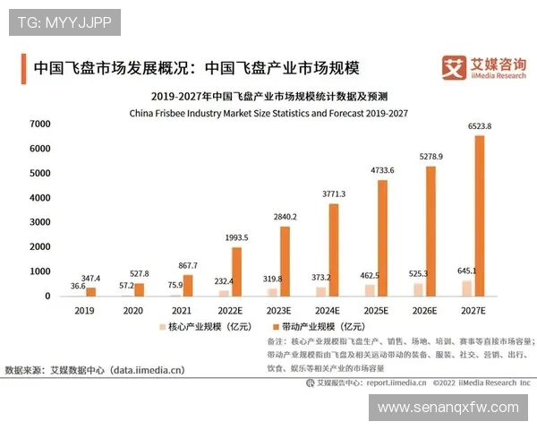 飞盘热潮下的北京飞盘队运营模式与发展策略分析
