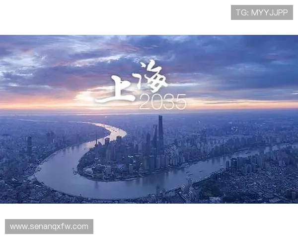 上海排球队的辉煌征程与突破时刻全景纪实